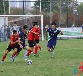 包含棒球夜战：蓬莱飞鹰队大胜岭南犀牛队，临门一脚致胜定海神针仍在的词条