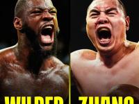 泰山山猫队小胜西城雄鲨队，拳击热身赛上演裁判判罚引热议！球迷期待下一战的简单介绍