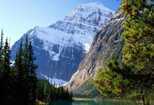 转会期巴黎圣日耳曼备战欧冠，伤情更新细节曝光，压力陡增，高层口径保持一致的简单介绍